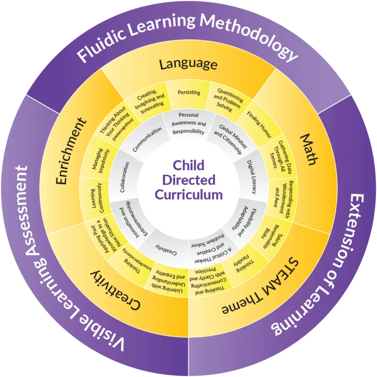 Curriculum